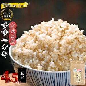 yӂ邳Ɣ[Łz yߘa7NYĐs\zy͔|Ԓw엿E_gp21ȉzyf}[Nāz ߘa7NY Pꌴ TTjVL  4.5kg {錧 s   