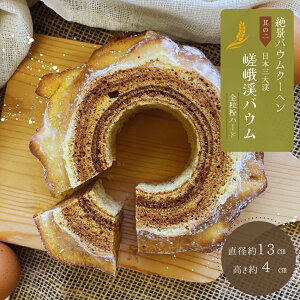 yӂ邳Ɣ[ŁzioEN[w ̓ koEiSn[hjoEN[w {錧 s