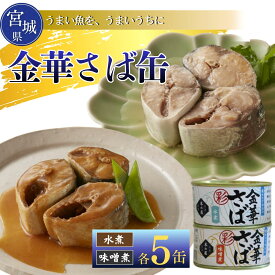 【ふるさと納税】【木の屋】さば缶 缶詰 食べ比べセット 10缶 (2種 各5缶) 水煮 味噌煮 鯖 鯖 サバ 金華さば 金華 国産 常温 おかず おつまみ 長期保存 非常食 保存食 便利 常温保存