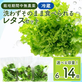 【ふるさと納税】【洗わずそのまま】【栽培期間中農薬不使用】【日本テレビ『news every.』で紹介】 野菜 詰め合わせ レタス ベビーリーフ 6袋/ 9袋/ 14袋【選べる容量】小分け フリルレタス ルッコラ レッドオーク 赤茎水菜 わさび菜 サンゴかいわれ 簡易包装 水耕栽培