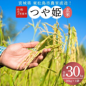 yӂ邳Ɣ[Łzy ߘa7NYzyVāzy2025N10{`{\z P  30kg × 1 {錧Ys_ƒ cq   ͂ ɂ ٓ   {錧 