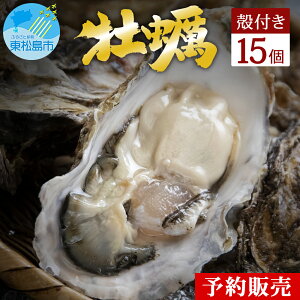 yӂ邳Ɣ[Łzy {錧 Y ɏ | y 15 kt Mp s2025V[YtJnI11{珇\t kt y JL {錧 s ICXg