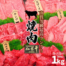 【ふるさと納税】 仙台牛 焼肉 最高級和牛 食べ比べ 選べる 配送月 定期便 わいわい 焼肉セット 1kg～300g 米に合う! ご飯もお酒も進む焼肉! ブランド牛 盛り合わせ 肉 牛肉 国産牛 霜降り肉 赤身 厚切り 切り落とし スライス おせち 大崎市 古川ミート sendaibeef