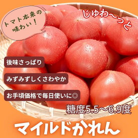 【ふるさと納税】糖度5.5〜6.9度のトマト マイルドかれん 選べる内容量内容量1kg~4kg/5kg（訳あり） | de-karen-oya