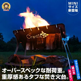 【ふるさと納税】焚き火台 焚火台 キャンプ アウトドア バーベキュー ファイアースタンド ステンレス グリルセット ファイヤープレイス コンパクト 折りたたみ 組立式 グランピング たき火台 BBQ 野外 ダッチオーブン アウトドアギア キャンプ道具 防災 防災グッズ 防災用品