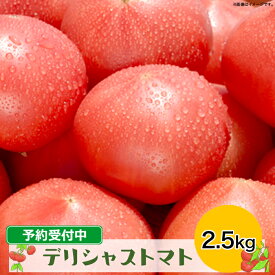 【ふるさと納税】デリシャストマト2.5kg