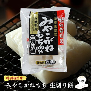 �y�ӂ邳�Ɣ[�Łz�y���ʍ͔|�Đ��Y�Ҍ���z�{�錧�Y�݂₱���˂���100�����؂��10��