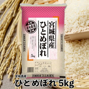 yӂ邳Ɣ[Łzyߘa6NYz{錧YЂƂ߂ڂ5kg@    R  ͂ sY {錧Y uh 