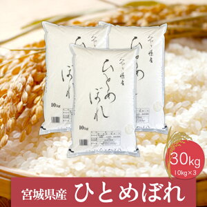 yӂ邳Ɣ[Łzsātߘa6NY {錧YЂƂ߂ڂ10kg×3     R  ͂ sY {錧Y uh 