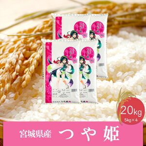 yӂ邳Ɣ[Łzsātߘa6NY {錧YP20kg@    R  ͂ sY {錧Y uh 