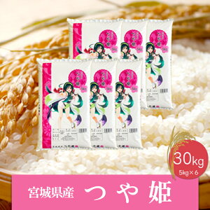 yӂ邳Ɣ[Łzsātߘa6NY {錧YP30kg@    R  ͂ sY {錧Y uh 