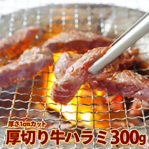 yӂ邳Ɣ[Łz؂苍n~300gs1cmJbgt