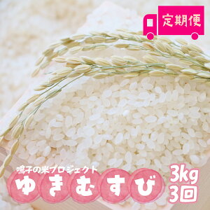 yӂ邳Ɣ[Łzq̕ăvWFNg 䂫ނ3kg×3 ցy2025NYzb{錧sqY