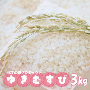 yӂ邳Ɣ[Łzq̕ăvWFNg 䂫ނ3kgy2025NYzb{錧sqY