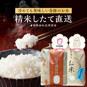 �y�ӂ邳�Ɣ[�Łz�{�錧���s ���E�_�ƈ�Y�̕Ăǂ��뒼�� �ЂƂ߂ڂ�E�T�T�j�V�L�Z�b�g �e5kg