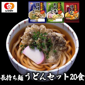 【ふるさと納税】「長持ち麺」うどんギフト3種20食