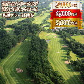 【ふるさと納税】富谷カントリークラブ・富谷パブリックコース 共通プレー補助券 [3,000円分] [6,000円分] [9,000円分]｜東北 宮城 仙台 富谷 ゴルフ場 チケット クーポン [0076-0078]