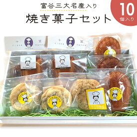 【ふるさと納税】富谷三大名産入り焼き菓子セット (10個入り)｜焼菓子 マドレーヌ クッキー フィナンシェ 洋菓子 スイーツ ブルーベリー はちみつ 名産 銘菓 ニンナ・ナンナ [0203]