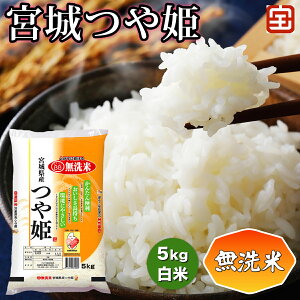 yӂ邳Ɣ[Łzߘa7NY  {P 5kg ()b2025N {Y       R   P Ђ { ӂ邳Ɣ[ V [0348]