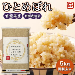 yӂ邳Ɣ[Łzߘa7NY ʍ͔| {錧Y ЂƂ߂ڂ  5kgb2025N {Y      R ͕ ЂƂ߂ڂ { ӂ邳Ɣ[ V [0349]