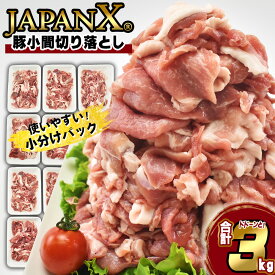 【ふるさと納税】〈レビューキャンペーン実施中〉 豚肉 小分け 切り落し JAPAN X 豚小間切り落とし 3kg ぶたにく ブランド豚 切落し 薄切り 送料無料 肉 グルメ 人気 冷凍 真空 時短 国産 宮城県産【04301-0067】 ふるさと納税宮城県 ふるさと納税蔵王町