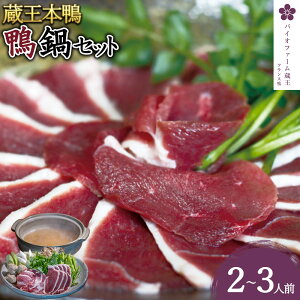 【ふるさと納税】蔵王本鴨 鍋セット2〜3人前 【04301-0123】