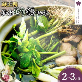 【ふるさと納税】蔵王鴨 仙台せり鍋セット2～3人前　【04301-0121】 鍋 せり鍋 鍋セット せり 鴨 簡単 本場 お取り寄せグルメ 蔵王