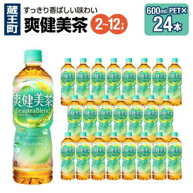 【ふるさと納税】【2〜12か月連続お届け】爽健美茶　600ml PET×24本　【04301-0028〜30・696〜698】 コカ・コーラ ボトラーズジャパン ペットボトル 合計 14.4L 1ケース 宮城県 蔵王町 定期便 そうけんびちゃ お茶 ブレンド茶 送料無料 ギフト プレゼント