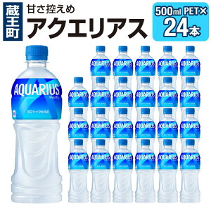 yӂ邳Ɣ[ŁzANGAX 500mlPET×24{@y04301-0039zyށEE~lEH[^[z