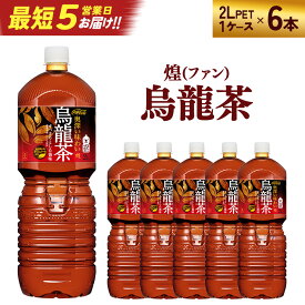 【ふるさと納税】【最短5営業日着！】煌 烏龍茶 2L PET×6本　【04301-0529】
