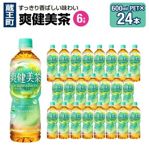 yӂ邳Ɣ[Łzy2`12A͂zu@600ml PET×24{@y04301-0028`30E696`698z RJER[ {g[YWp ybg{g v 14.4L 1P[X {錧   