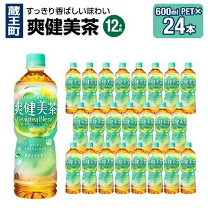 yӂ邳Ɣ[Łzy2`12A͂zu@600ml PET×24{@y04301-0028`30E696`698z RJER[ {g[YWp ybg{g v 14.4L 1P[X {錧   