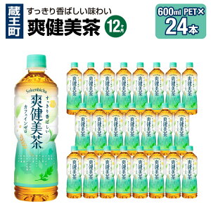 yӂ邳Ɣ[Łzy2`12A͂zu@600ml PET×24{@y04301-0028`30E696`698z RJER[ {g[YWp ybg{g v 14.4L 1P[X {錧   