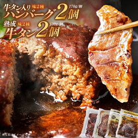 【ふるさと納税】牛タン入りハンバーグ（和風・デミグラス）＆柔らか牛タン（タレ・塩）セット　【04301-0757】