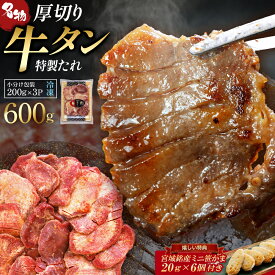 【ふるさと納税】 蔵王福膳・柔らか牛タン（特製果実たれ）600g・笹かま付き【04301-0565】 牛たん 牛タン タレ 牛肉 肉 焼肉 BBQ 仙台名物 宮城銘産 厚切り 和梨 いちじく 蔵王 人気 冷凍 宮城県 蔵王町 福一