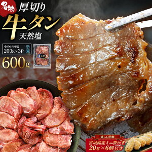 �y�ӂ邳�Ɣ[�Łz�������V�E�_�炩���^���i���j600g�E�����ܕt���y04301-0566�z ������ ���^�� �� ���� �� �ē� BBQ ��䖼�� �{����Y ���؂� ���� �l�C �Ⓚ �{�錧 ������ ����