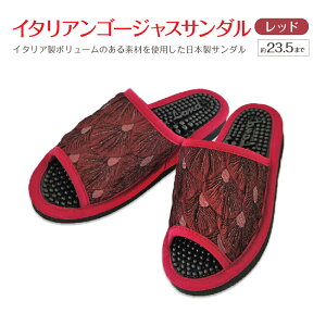 yӂ邳Ɣ[ŁzC^AS[WXT_i23.5cm܂Łj 5FI@y04301-0589z