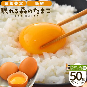 yӂ邳Ɣ[ŁzX̂܂@̂ꗑ50ƎƐ}l[YEhbVOZbg@y04301-0181z