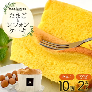 yӂ邳Ɣ[ŁzX̂܂ƃVtHP[L̃Zbg@y04301-0791z ^}S  { Z  XC[c Ö ĉَq Ăَq {錧  { Mtg v[g 