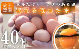 【ふるさと納税】眠れる森のたまご　朝採れ卵40個　【04301-0324】