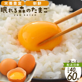 【ふるさと納税】眠れる森のたまご　朝採れ卵＜選べる単月・2～12か月定期便＞＜選べる内容量 40個・60個＞　【04301-0324・325・792～799】 たまご タマゴ 卵 鶏卵 濃厚 こだわり 新鮮 つまめる 宮城県 蔵王町 蔵王鶏園 ギフト プレゼント