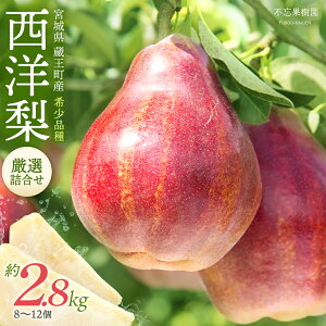 yӂ邳Ɣ[Łz󏭂ȗmu[KbhR~Xv 2.5`2.8kgi8`12j Y@y04301-0184z