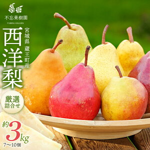 yӂ邳Ɣ[Łzml@7 3kgi7`10j Y@y04301-0278z