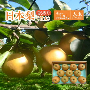 yӂ邳Ɣ[Łzys\zy󂠂z{iÑj4kgi7`14ʓj Y@y04301-0454z