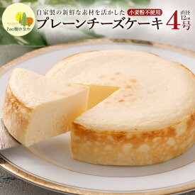 【ふるさと納税】蔵王のチーズケーキ専門店 プレーンチーズケーキ　【04301-0514】