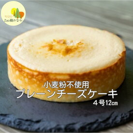 【ふるさと納税】プレーンチーズケーキ　【04301-0514】