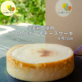 【ふるさと納税】マスカルポーネチーズケーキ　【04301-0515】