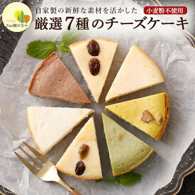 【ふるさと納税】蔵王のチーズケーキ専門店 厳選7ピースパック　【04301-0516】
