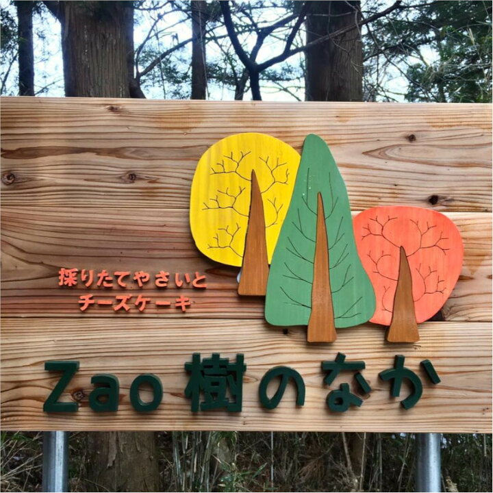 楽天市場】【ふるさと納税】蔵王のチーズケーキ専門店 厳選7ピース 