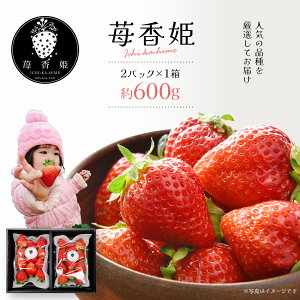 yӂ邳Ɣ[Łz1i2pbN/傫/ϔj䕍P`ICHI-KA-HIME`@y04301-0563z